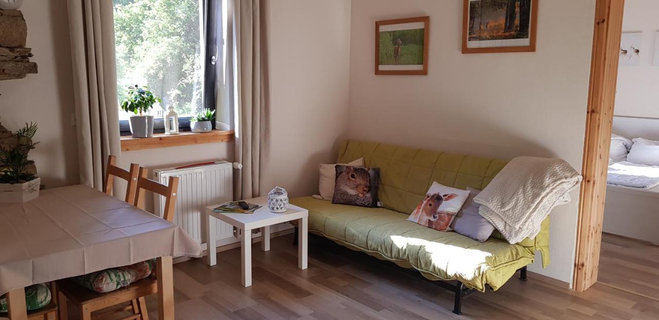Neumuehle Ferienwohnung 2 Lutzerath Buitenkant foto